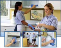 Logo for Molly Maid of Bell & Coryell County